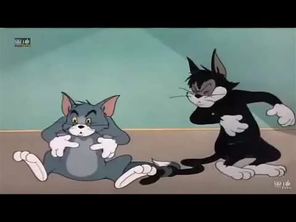 Tom and jerry 55. Кот Казанова том и Джерри 55. Casanova Cat 1951. Tom and Jerry Casanova Cat.