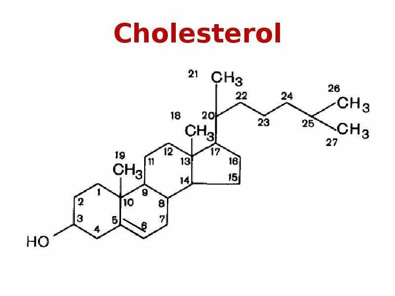 Холестерол 4. Холестерол это липид. холестерол 6.11. cholesterol structure. холестерол формула.