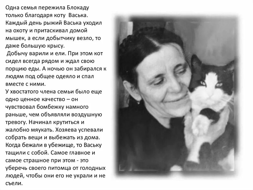 Блокада коту. Кот Васька в блокадном Ленинграде рассказ. Кот Васька в блокадном Ленинграде спас семью. Рассказ про кота Ваську в блокадном Ленинграде.