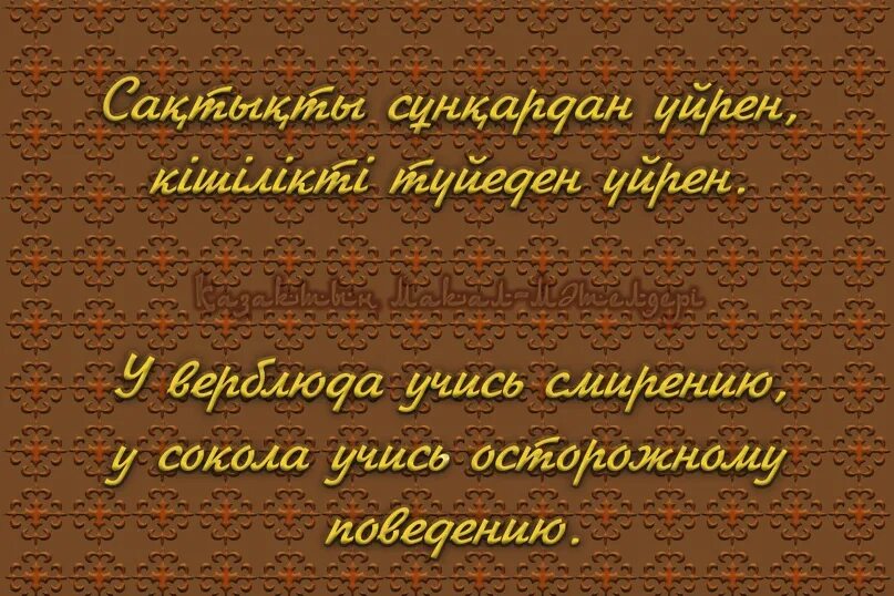 Казахские пословицы. Казахские поговорки. Казахские пословицы и поговорки. Пословицы и поговорки казахского народа. Русско казахский пословицы