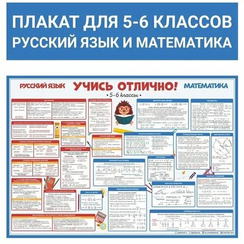 школьники и студенты. русский язык 6 класебник. русский на отлично 6 класс. русский на отлично 6 класс. ученики 11 класса.