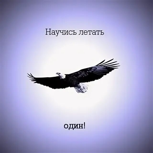 Научись летать один. Научись летать один картинка. Научись летать один смысл. Картинки научись летать 1. Игра научись летать