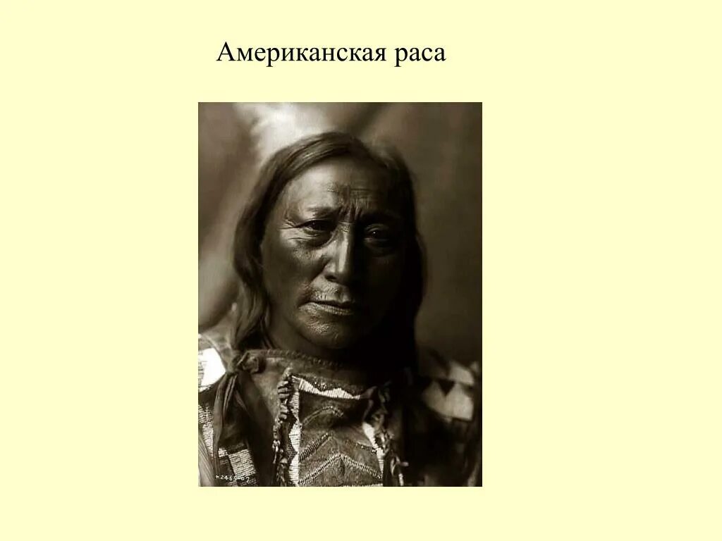 Американская раса. Америнды. Американоиды. Американоиды раса. Индейцы северной америки раса