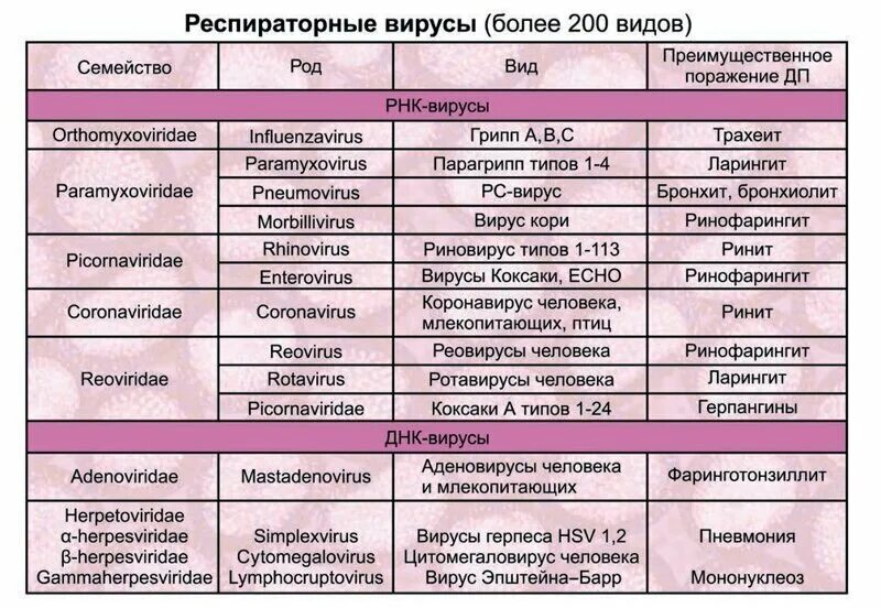 Классификация вирусов- возбудителей респираторных вирусных инфекций. Вирусы ОРВИ классификация. Классификация острых респираторных вирусных инфекций. Разновидности ОРВИ вирусов. Источник ковида