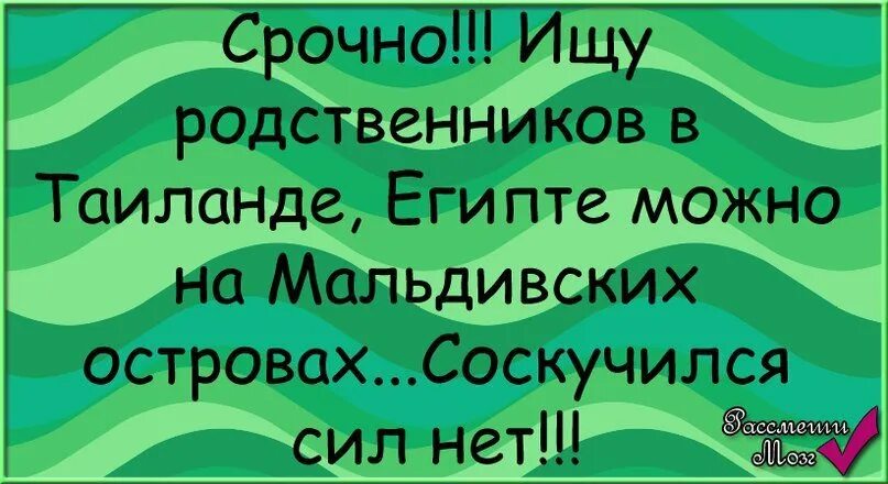 Я не собираюсь содержать твою родню невеста. Шутки про родственников. анекдот про родню. анекдоты про родственников. смешные картинки про родственников.