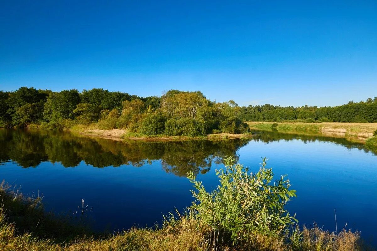 речка десна в брянске. сообщение о реке десне. озеро вьюнка клинцы. река болва людиново. брянск заповедник брянский лес.