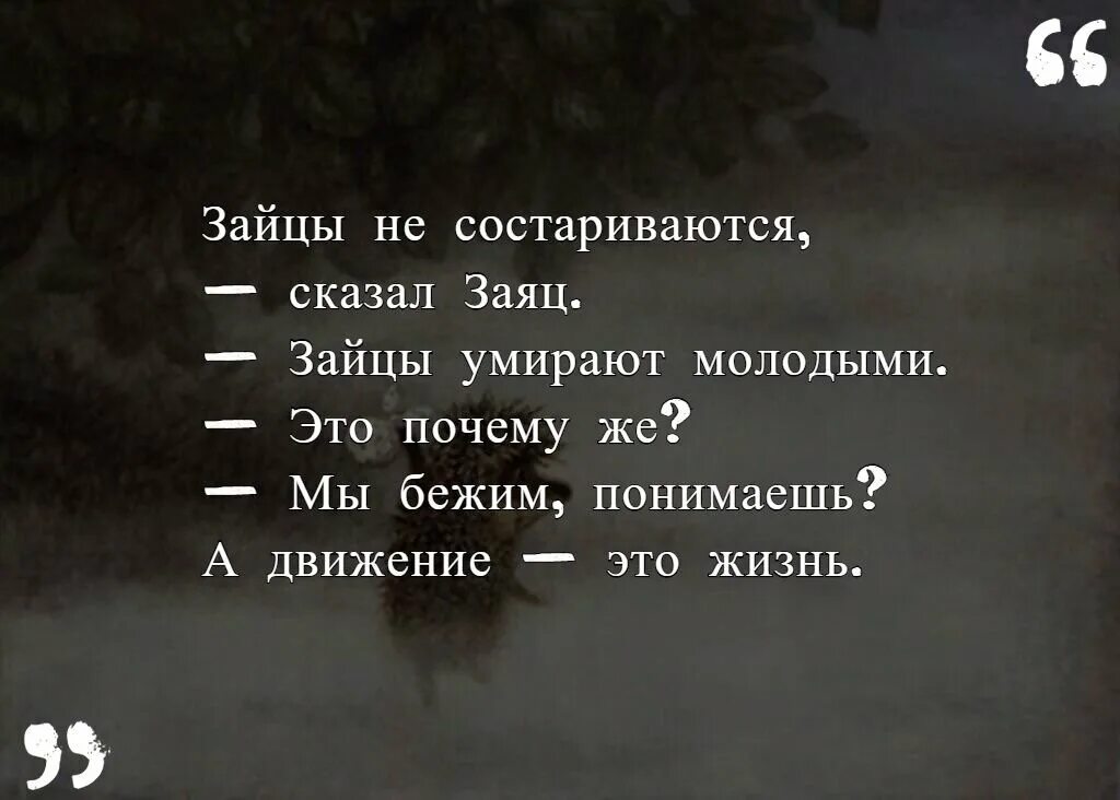 Покорила меня правда мы бежим. Ежик в тумане цитаты. Цитаты из ежика в тумане. Высказывания из ежика в тумане. Ёжик в тумане афоризмы.