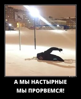 Настырный