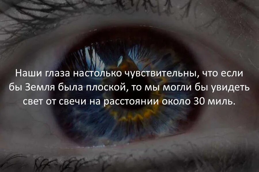 Ее глаза видят свет. Интересные факты. Интересные и необычные факты. Удивительные факты. Картинка занимательные факты.