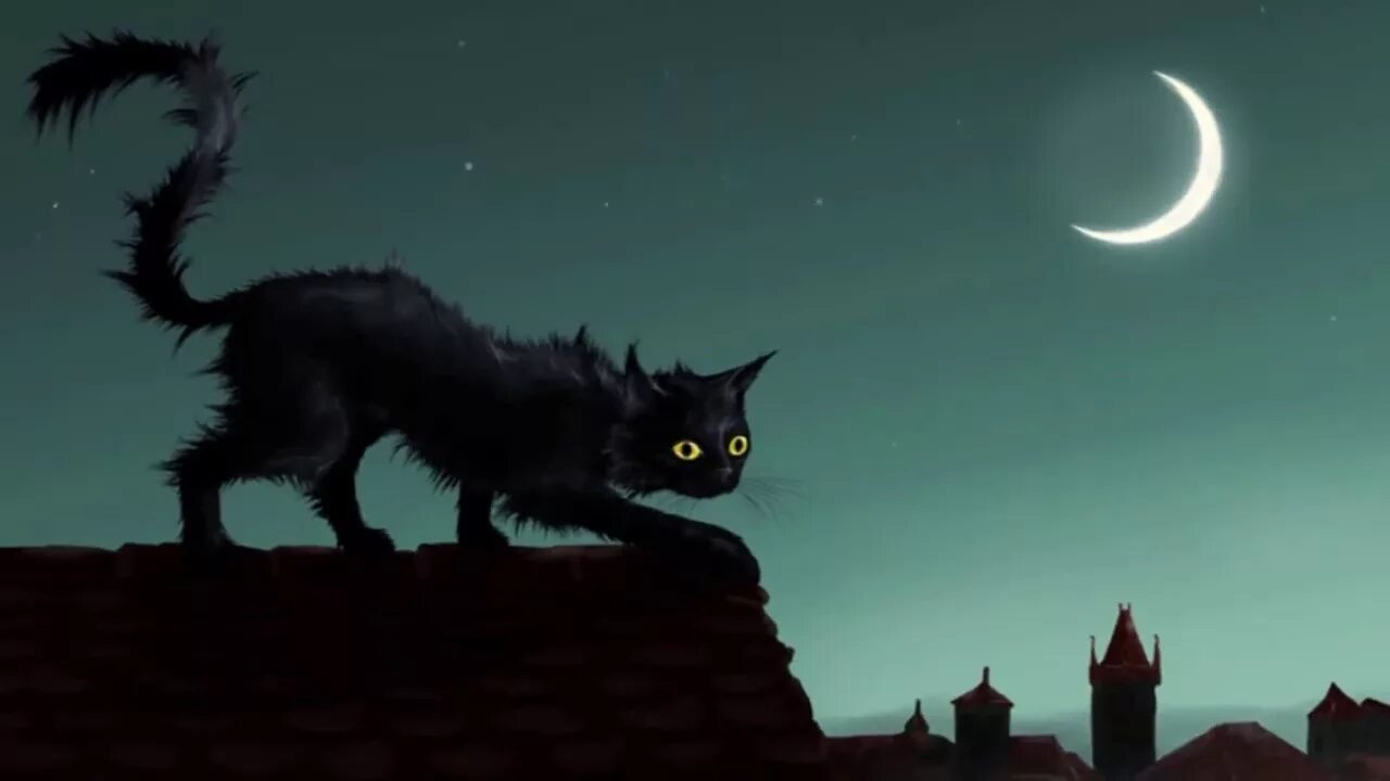 Кот ночью. Кот на крыше. Черный кот на крыше. Черная кошка на крыше. Песня кошка ночь