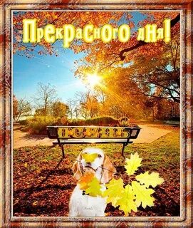 Новые картинки доброго дня осени
