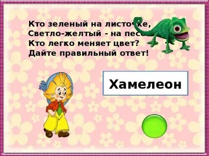 Хамелеон загадка