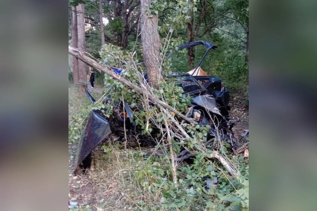 Девочку убило деревом