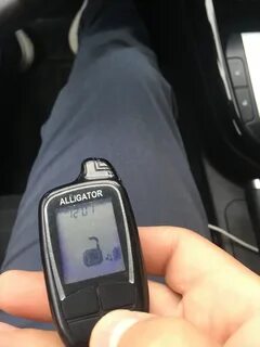 Автозапуск аллигатор