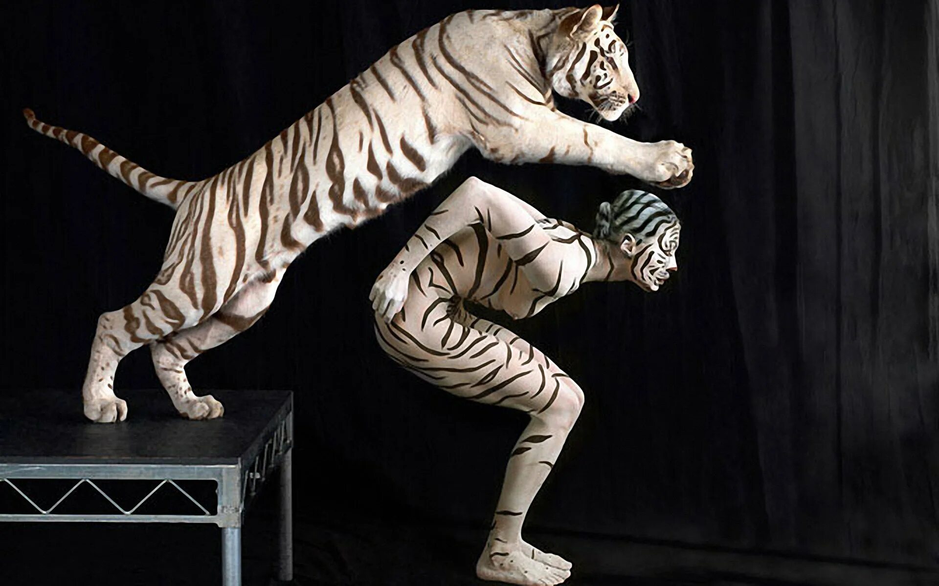 Инстинкт котов. Креативный тигр. Необычный тигр. Боди-арт. Животные инстинкты.