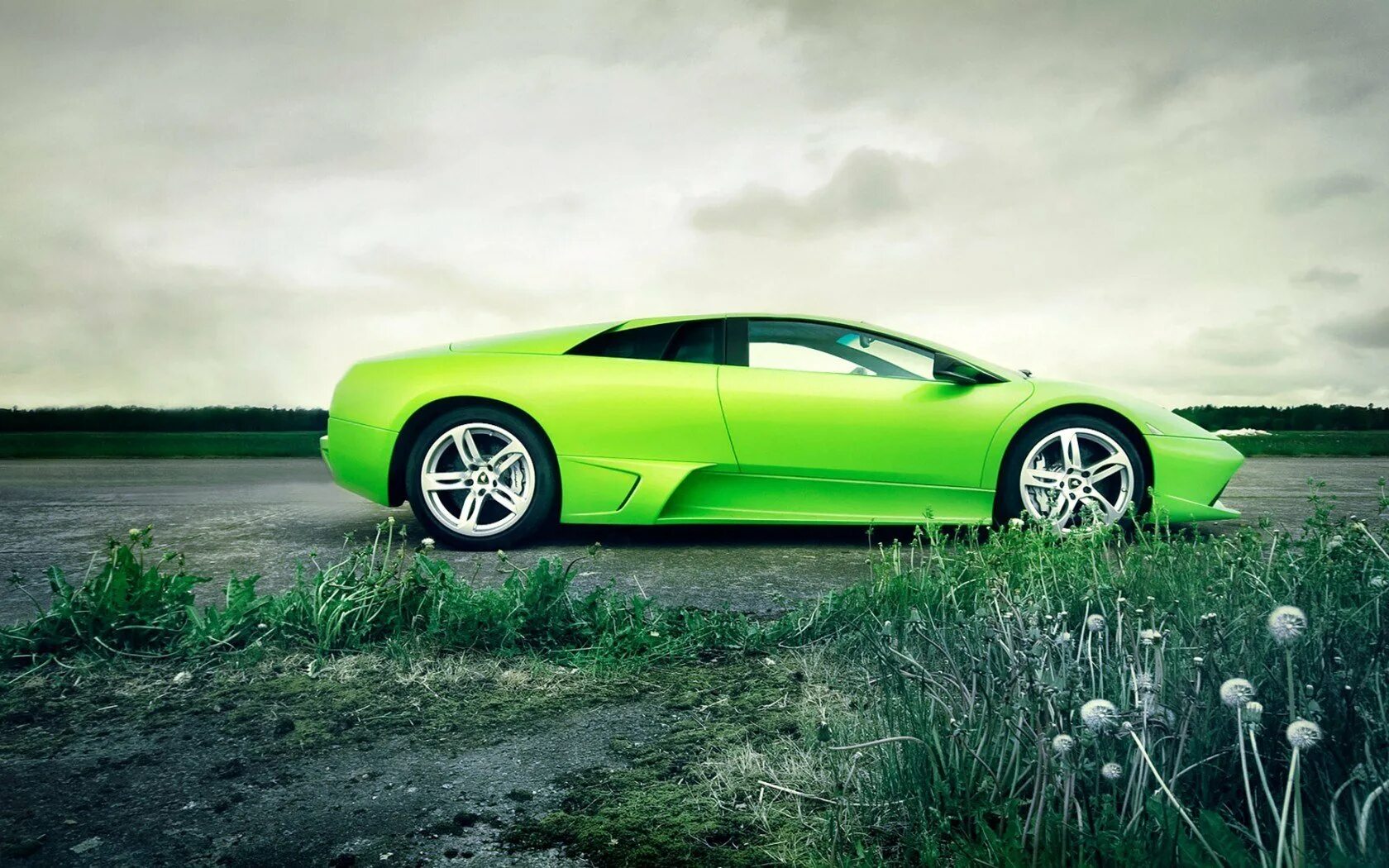 Зеленый цвет безопасности. Lamborghini lp640 салатовый. Ламборджини Галлардо зеленая. Ламборгини Мурселаго зеленая. Тесла салатового цвета.