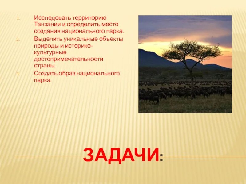 Проект национального парка танзании. Проект национального парка в Танзании. Создание национального парка в Танзании. Национальный парк в Танзании 7 класс. Проект по географии про парк Танзании.