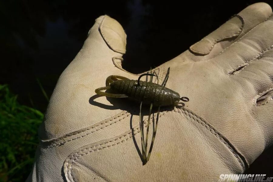 На какую приманку ловить тараканов Муравьи довольно часто селятся как в огороде, так и в саду. Причем они доставляю