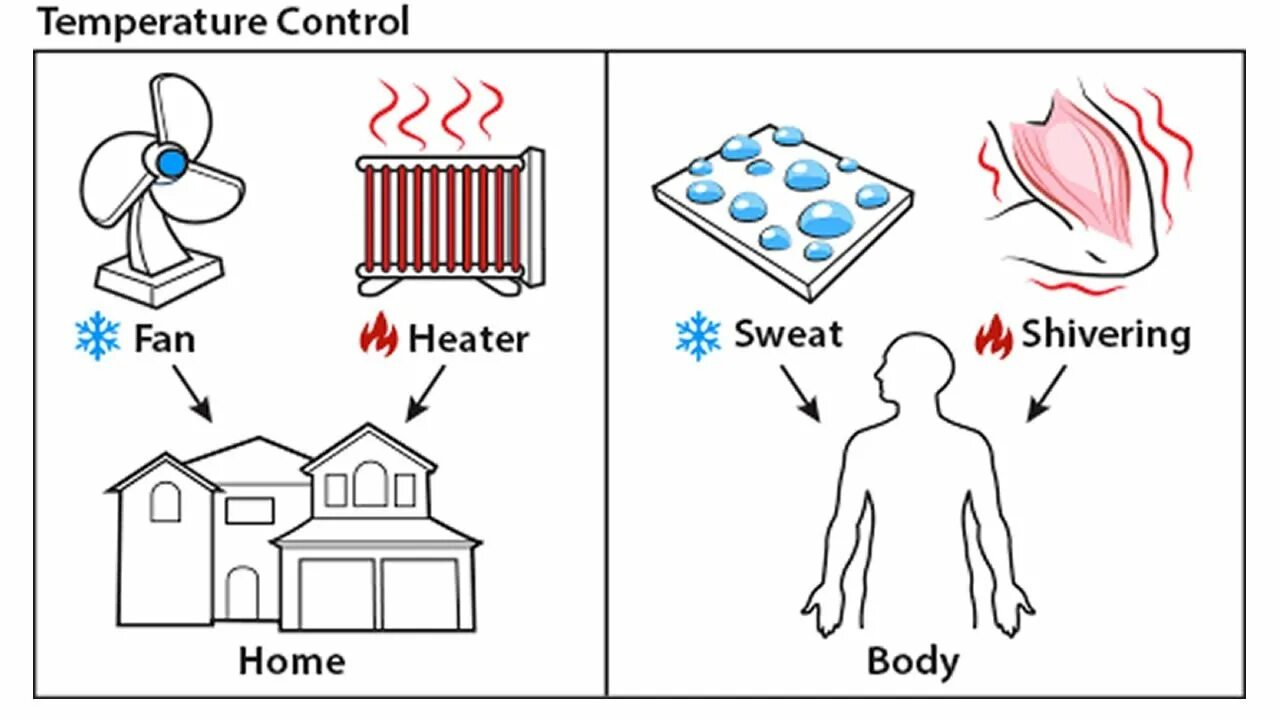 The first heated. When the temperature drop. the temperature drops. distribution of human body temperature in the infrared spectrum. maintained.
