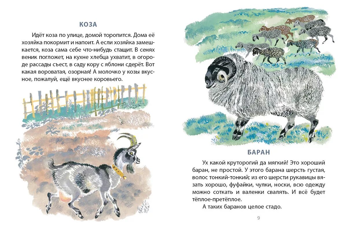 Как на нашем на дворе были. Чарушин курочка. Как на нашем на дворе были. Чарушин рассказы о козе. На нашем дворе книга.