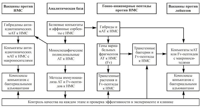 Этап вакцины. Испытание вакцины на людях.