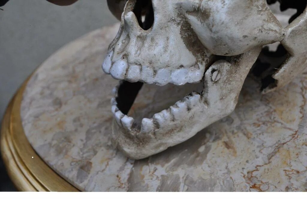 Маска череп с подвижной челюстью. Маска демона с подвижной челюстью. Нижняя челюсть с черепом подвижные