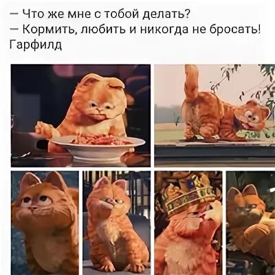 Гарфилд любить уломить. Комиксы про гарфилда. Слова гарфилда. Слова гарфилда. Гарфилд любить уломить.
