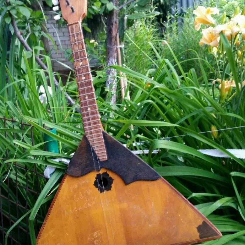 Балалайка на природе. Балалайка альт. Под балалайку. Человек с балалайкой. 23 июня международный день музыкантов народников.