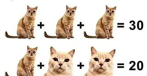 Котика ответ