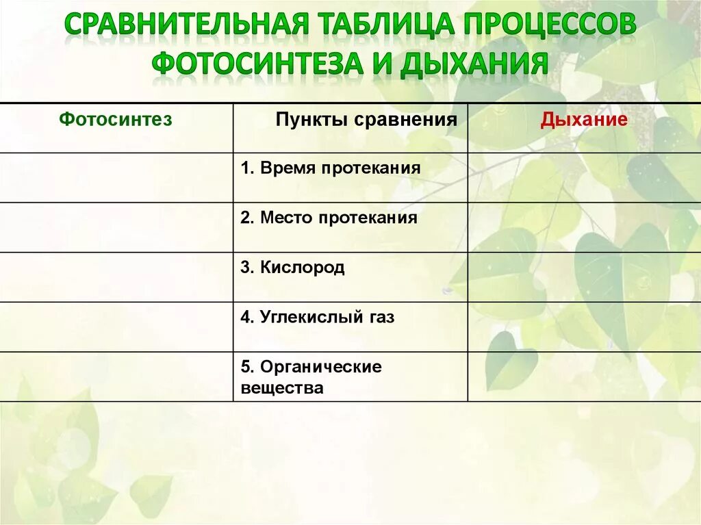 Углекислый газ и кислород сходства и различия. Таблица сравнения процессов дыхания и фотосинтеза у растений. Сравнение фотосинтеза и дыхания 6 класс биология. Таблица сравнение процессов фотосинтеза и дыхания. Сравнительная таблица фотосинтеза и дыхания растений.