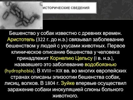 Половое бешенство