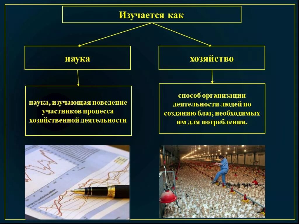 Понятие экономика как наука пример. Изучается как наука хозяйство. Экономика наука и хозяйство. Наука как хозяйство. Экономика как наука.