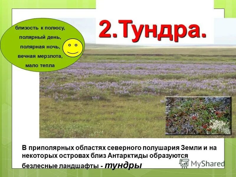 природные зоны 6 класс презентация. природные зоны. природные зоны иллюстрации. природные зоны земли. природные зоны саратовской области животные.