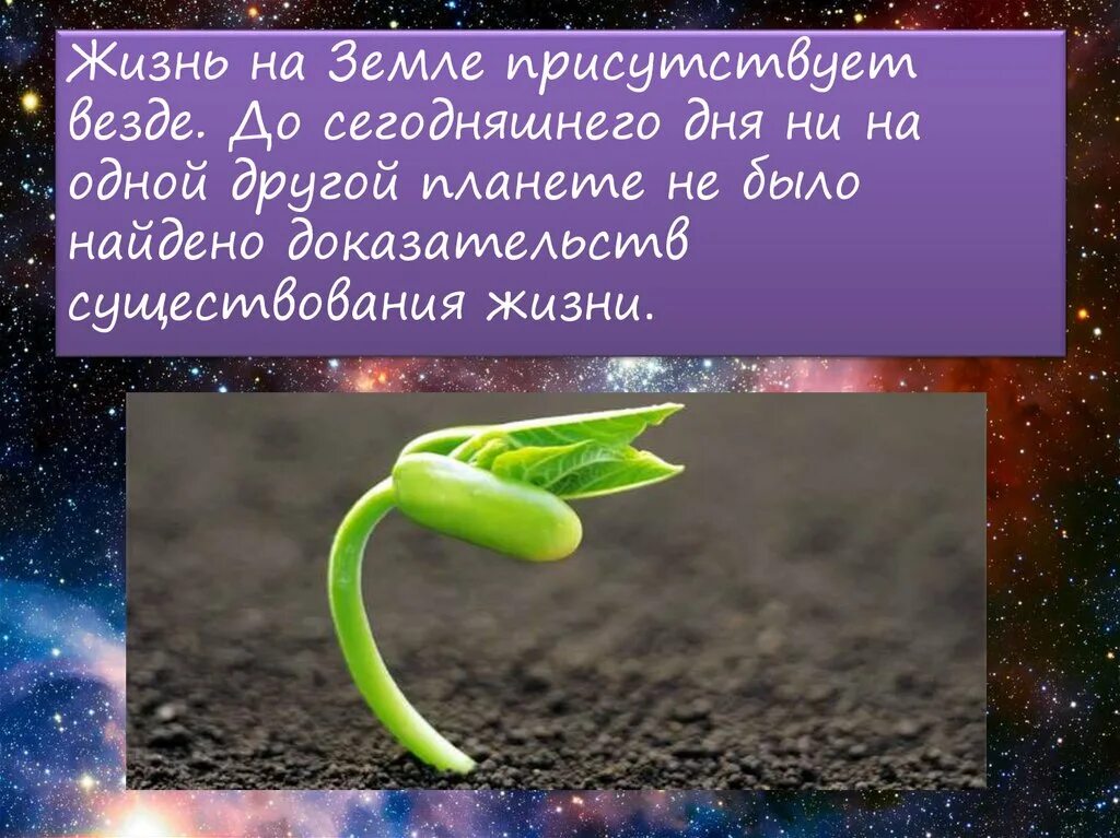 Наличие жизни на земле. Жизнь на земле. Существование жизни на земле. Условия существования жизни на земле. Условия жизни на земле 9 класс презентация