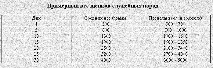 Сколько грамм овчарки. Должен весить щенок 2 месяца немецкой овчарки. Вес щенка немецкой овчарки при рождении. Щенки немецкой овчарки 3 месяца вес рост. Вес щенка немецкой овчарки в 2 месяца.