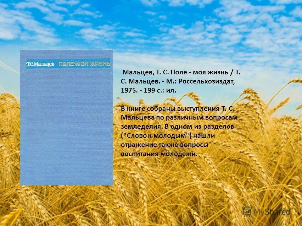 Где поля мои поля текст