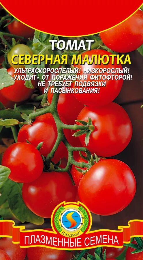 Семена томатов без пасынкования. Ультраскороспелые сорта томатов для открытого грунта низкорослые. Помидоры сорт Сибирская Малютка. Томат ультраскороспелый. Семена томатов низкорослые без пасынкования.