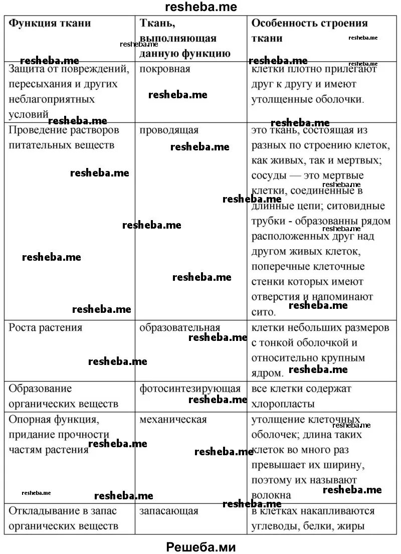 Функции образовательной ткани 6 класс таблица. Виды тканей растений таблица. лабораторная работа 4 ткани растительного организма ответы.