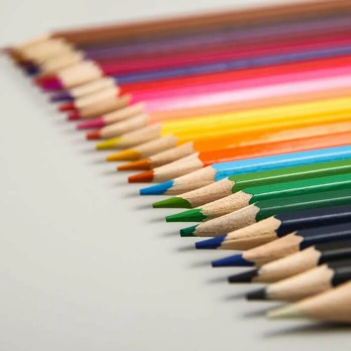 Карандаши 18цв koh-i-noor. Цветные карандаши сибирский кедр 24 цвета. Карандаш цветн. "koh-i-noor hardtmuth" набор цветных карандашей 12 цв. Карандаши утолщенные сувенир.