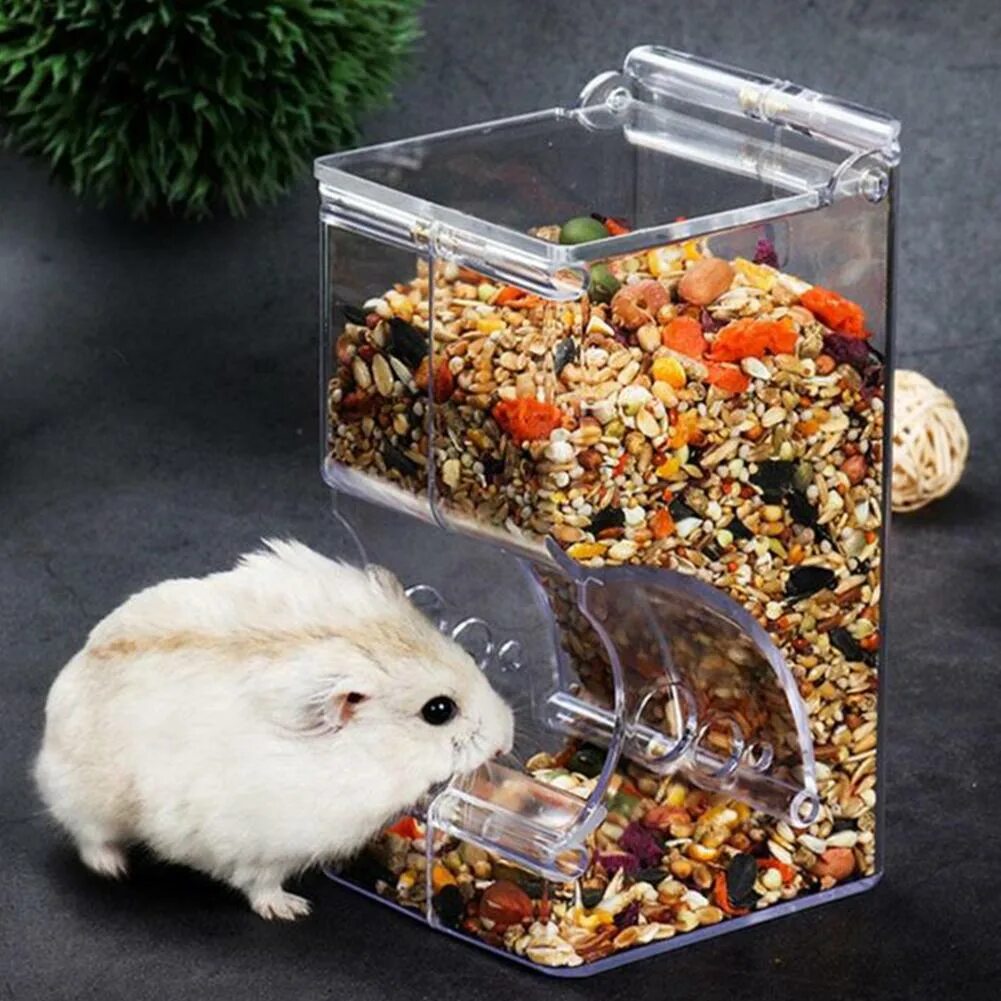 Магазин хомячки. Pet Feeder кормушка. Автокормушки для хомяков. Автоматическая кормушка для хомяка. Контейнер для хомяка.