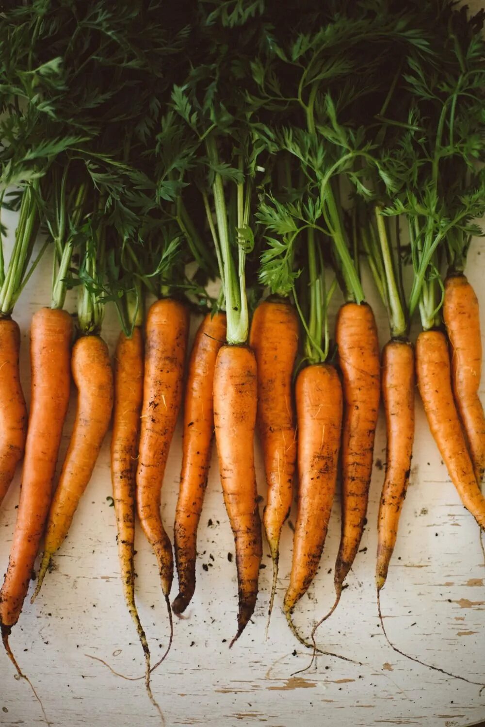 Морковь. Моркоффь. Овощи морковь. Оранжевые овощи. Orange vegetables