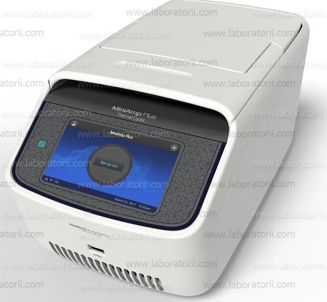 Амплификатор zenless. Днк-амплификатор, 96×0,2 мл, t100 thermal cycler,. амплификатор miniamp plus. амплификатор fisher. амплификатор bio rad t100.