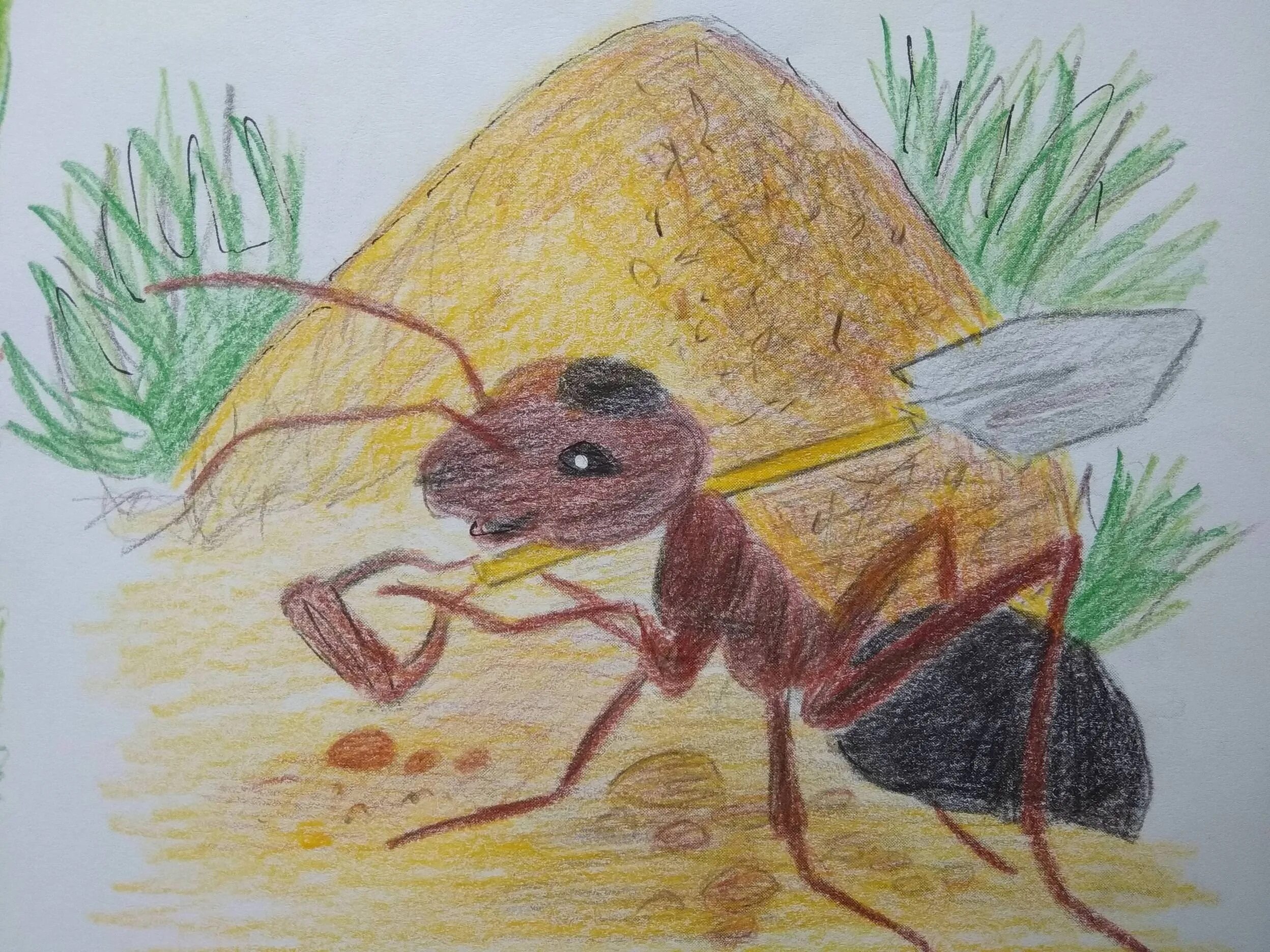 Муравей Муравейник муравьишка. Муравей рисунок. Муравей рисунок для детей. Муравей картинка для детей. Как муравьишка домой спешил герои