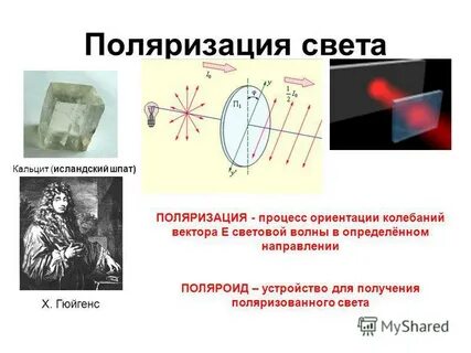 Шотландский физик придумавший поляризатор света кроссворд