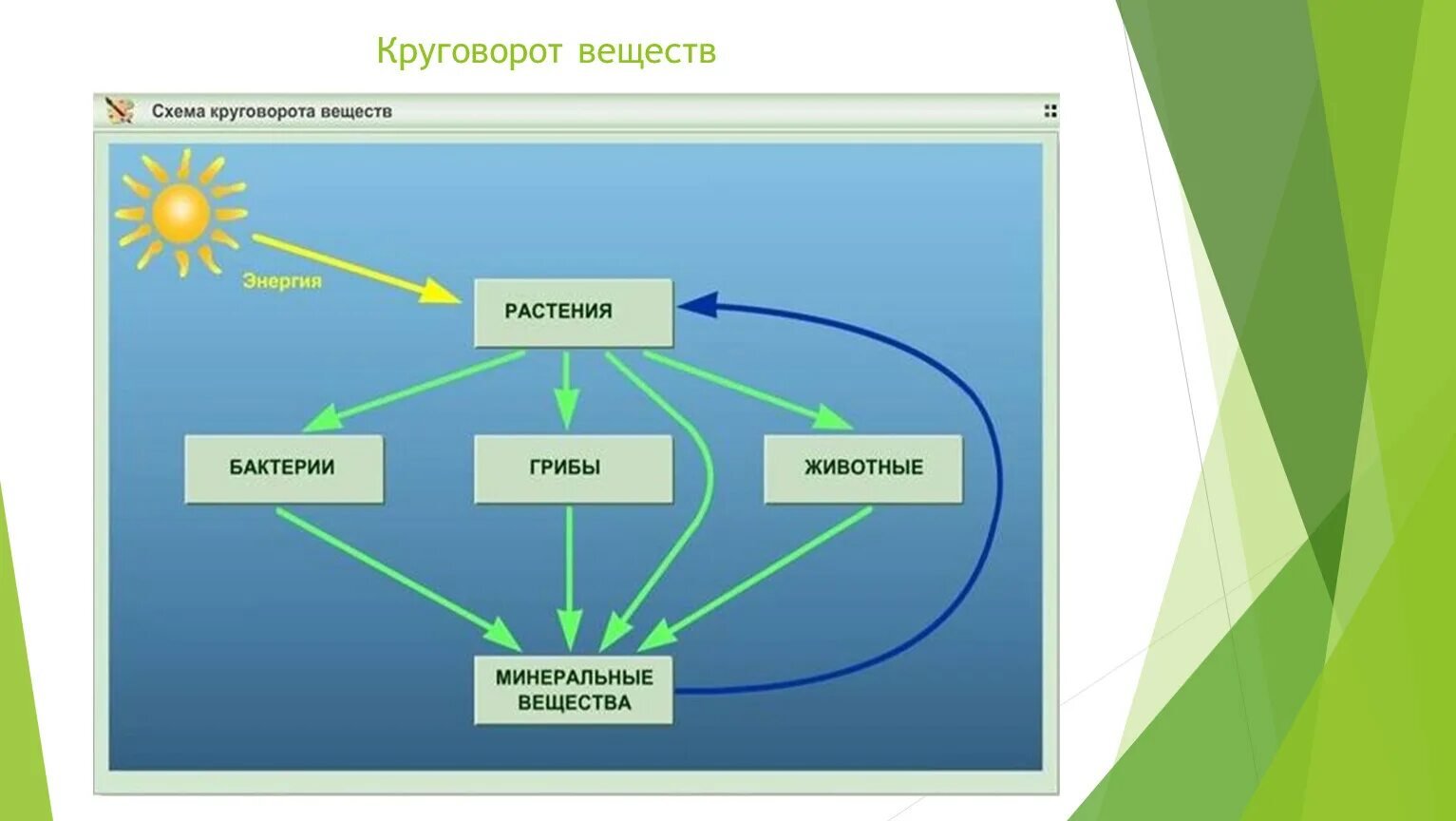 Схема круговорота веществ. Круговорот схема. Схема круговорота веществ на земле. Круговорот веществ 3 класс. Круговорота веществ 3 класс