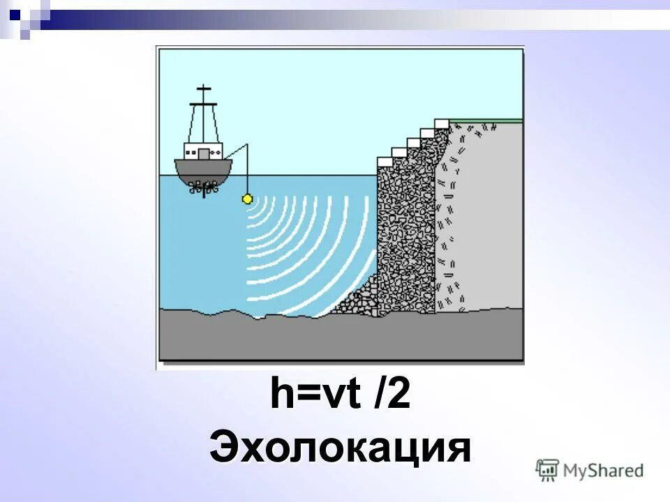 Эхолокация. Ультразвуковая эхолокация. Эхолокация презентация. Ультразвуковая эхолокация в технике. Входными воротами для эхолокационного слуха дельфина служит