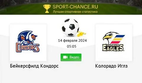 Спорт 24 прямой