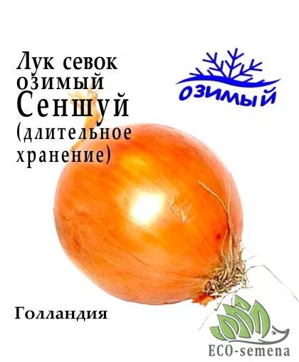 Характеристики Лук севок озимый Сеншуй 1 кг., подробное описание товара. Интерне