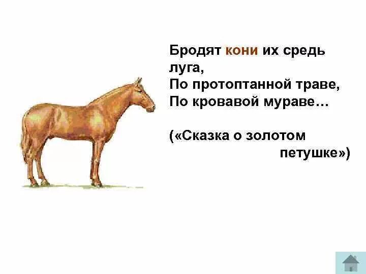 Определение слова лошадь. Предложение со словом лошадь. конь лексическое значение. лошадь лексическое значение. обозначение слова лошадь.