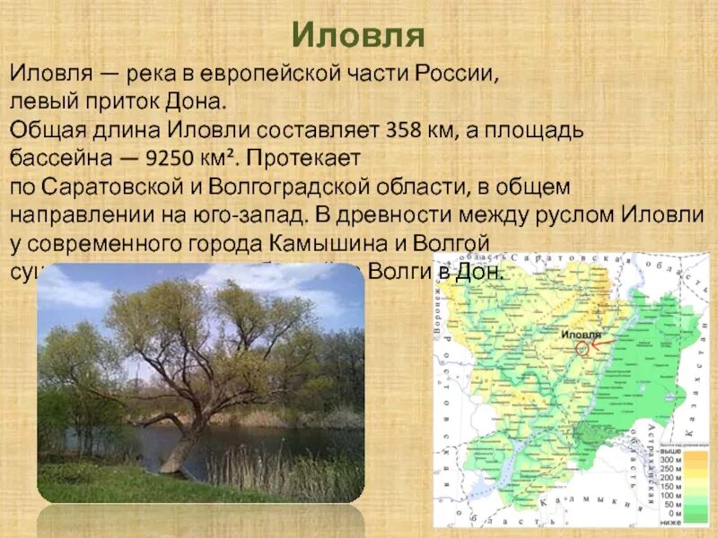 Главная река европейской части. Схема реки Дон Волгоградской области. Дон (река) притоки Дона. Реки европейской части России. Ркеи европейской части Росси.